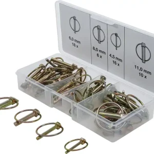 Saisonangebot Klappsplinte-Sortiment, 50-tlg.